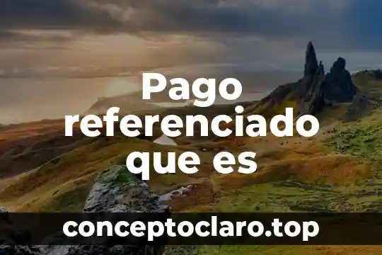 Pago referenciado que es