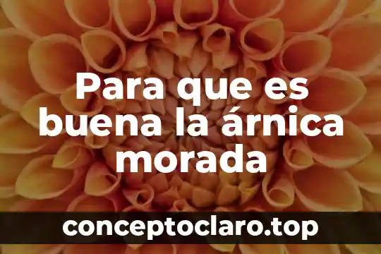 Para que es buena la árnica morada