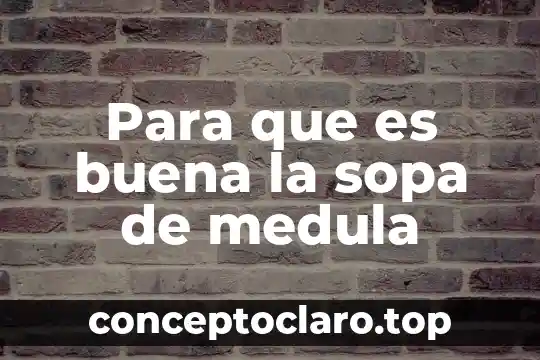 Para que es buena la sopa de medula
