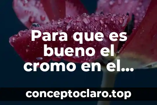 Que es el sosten del cuerpo humano 6 Para que es bueno el cromo en el cuerpo humano