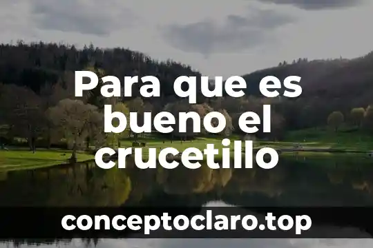 Qué es bueno para los triglicéridos y colesterol 6 Para que es bueno el crucetillo