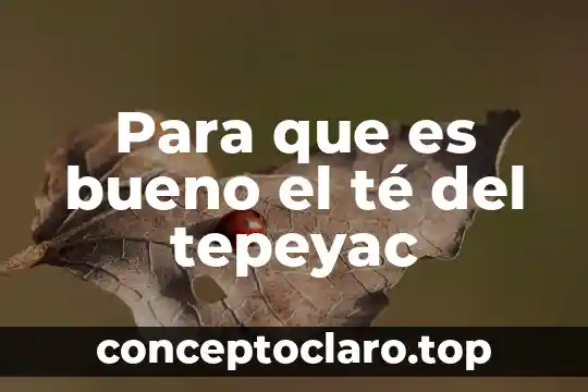 Que es significado clinico 7 Para que es bueno el té del tepeyac