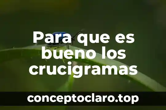 Para que es bueno los crucigramas