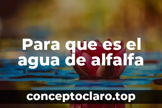 Para que es el agua de alfalfa