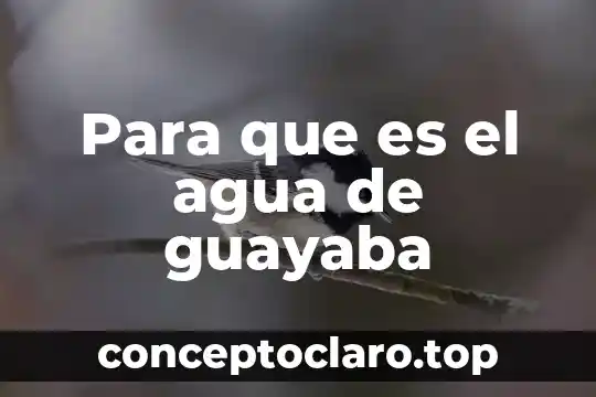 Que es el agua dulce y salada 3 Para que es el agua de guayaba