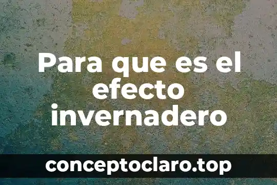 Que es maltrato animal introduccion 8 Para que es el efecto invernadero