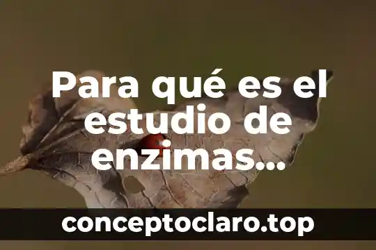 Para qué es el estudio de enzimas cardiacas