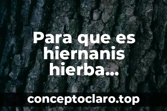 Para que es hiernanis hierba medicinal