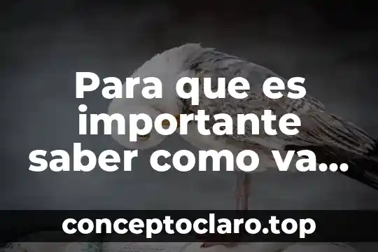 Por que es importante analizar las desviaciones de un presupuesto 3 Para que es importante saber como va estar el clima