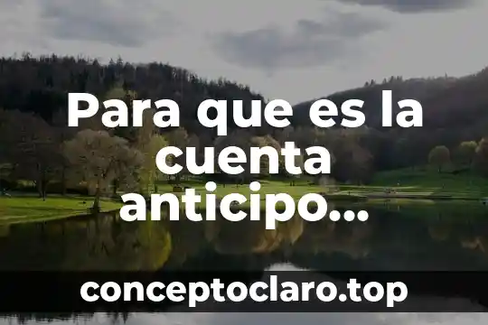 Que es un impacto en la cuenta 3 Para que es la cuenta anticipo clientes extranjeros parte relacionadas