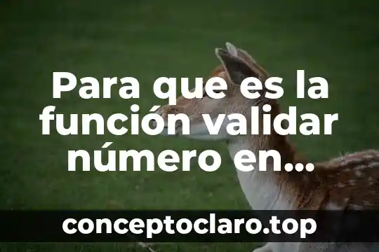 Para que es la función validar número en Excel