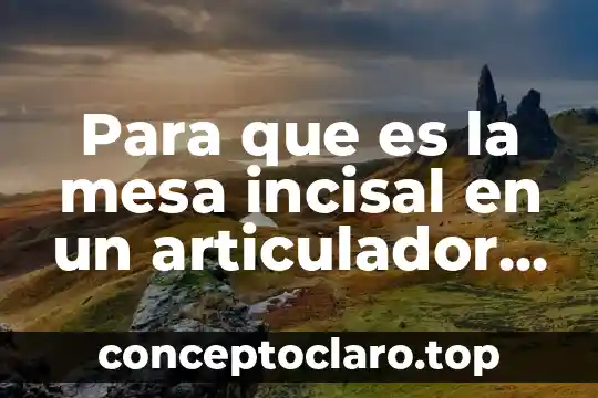 Que es una mesa de analisis 7 Para que es la mesa incisal en un articulador semiajustable