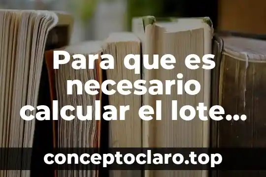 Que es el numero de lote imss 7 Para que es necesario calcular el lote económico de compra