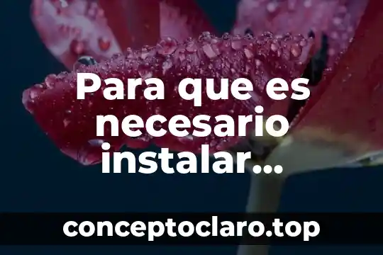 Para que es necesario instalar software a una computadora