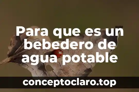 Para que es un bebedero de agua potable
