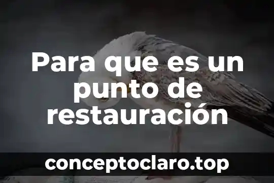 Para que es un punto de restauración