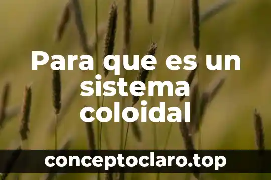 Que es un sistema en sistemas computacionales 6 Para que es un sistema coloidal