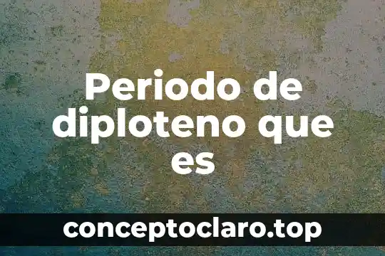 Periodo de diploteno que es