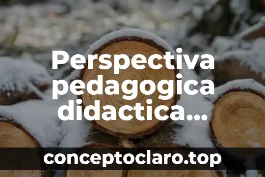 Perspectiva pedagogica didactica definicion que es