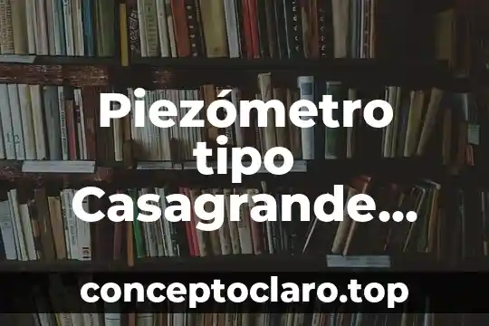 Que es sesa y que tipo de servicios brinda 4 Piezómetro tipo Casagrande que es