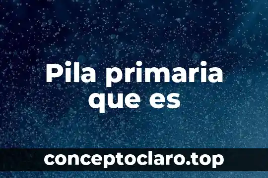 Que es una norma primaria 3 Pila primaria que es