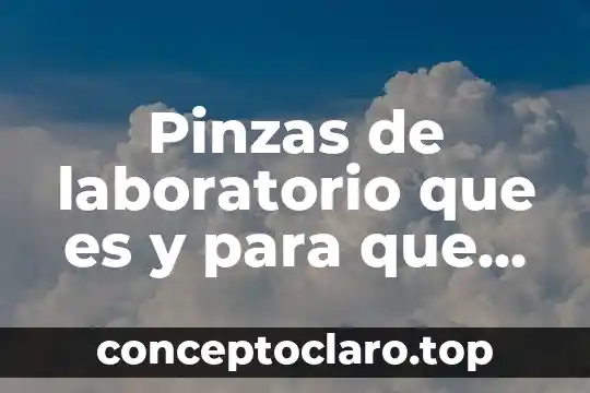 Pinzas de laboratorio que es y para que sirve