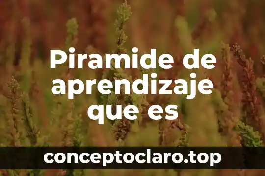 Piramide de aprendizaje que es
