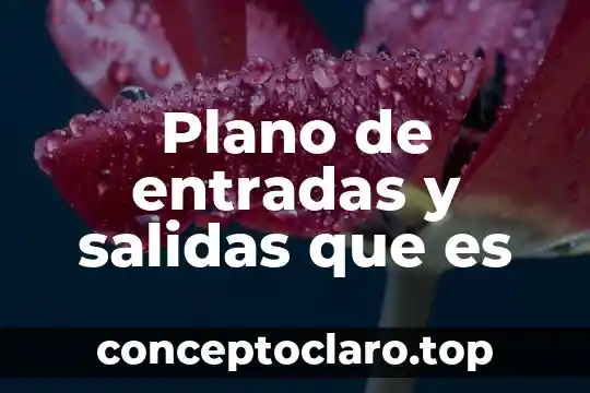 Que es libro de entradas y salidas 4 Plano de entradas y salidas que es