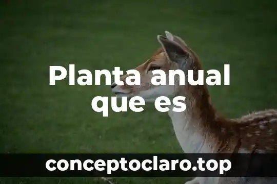 Planta anual que es