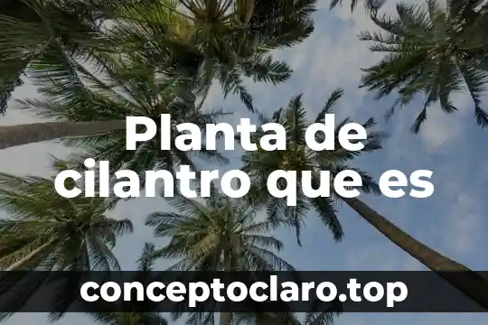 Que es el tejido dermico de una planta 5 Planta de cilantro que es