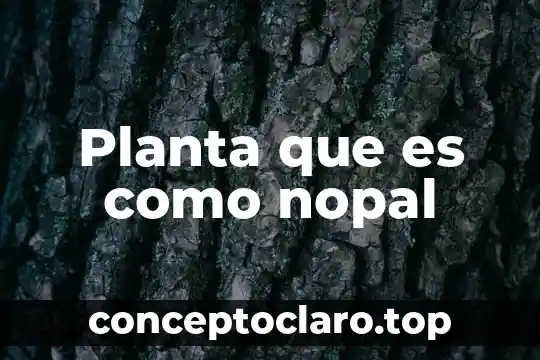 Planta que es como nopal