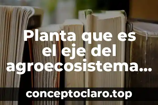 Planta que es el eje del agroecosistema de la milpa