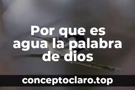 Por que es agua la palabra de dios
