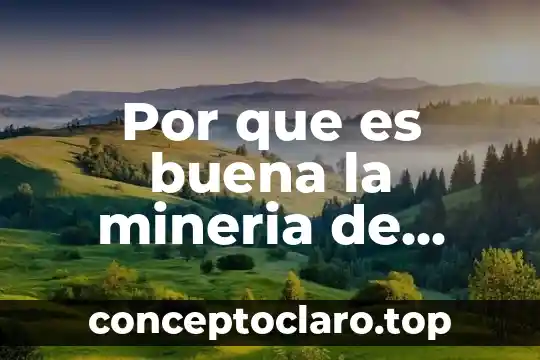 Por que es buena la mineria de datos