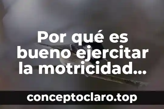 Por qué es bueno ejercitar la motricidad gruesa