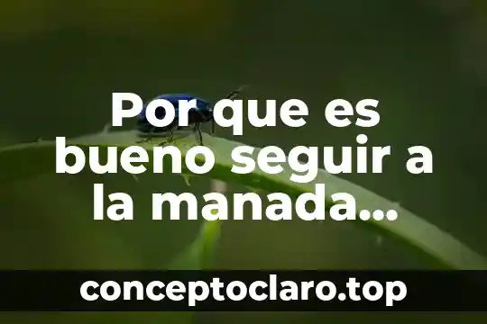 Por que es bueno seguir a la manada shiller