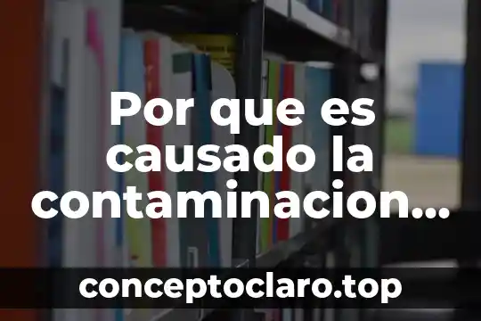 Por que es causado la contaminacion ambiental