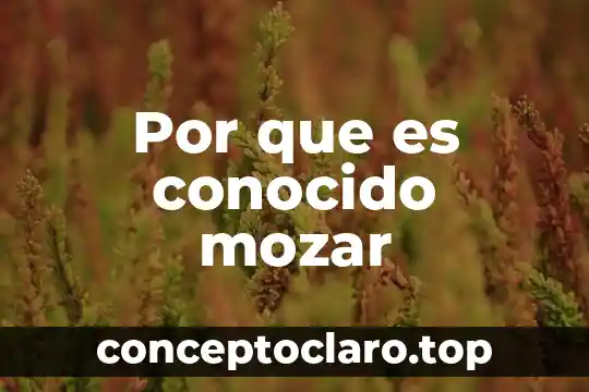 Por que es conocido mozar