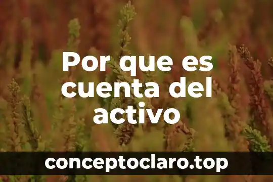 Que es un principio activo de una planta 4 Por que es cuenta del activo