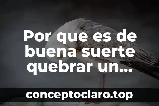 Para que es el vaso de agua 7 Por que es de buena suerte quebrar un vaso