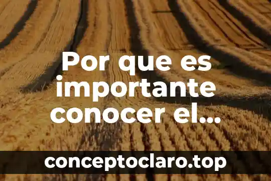Por que es importante el voto digital 4 Por que es importante conocer el legado de nuestros antepasados