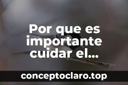 Por que es inportan cuidar el agua 4 Por que es importante cuidar el ambiente