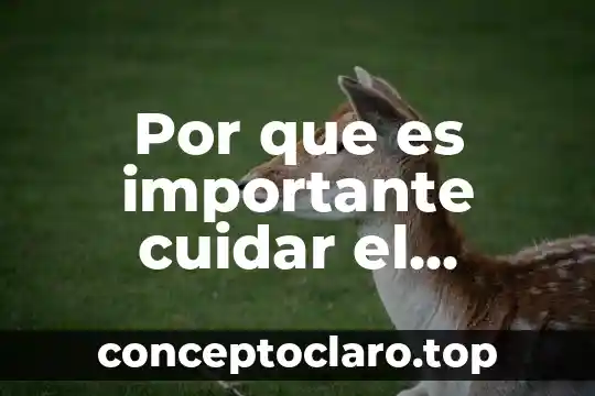Por que es inportan cuidar el agua 7 Por que es importante cuidar el aparato respiratorio