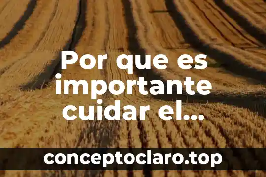 Por que es inportan cuidar el agua 8 Por que es importante cuidar el medioambiente