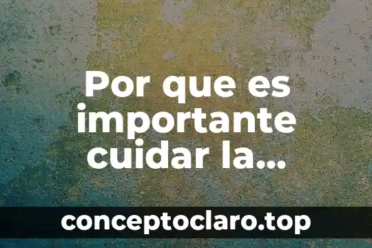 Qué es más importante en una representación 3 Por que es importante cuidar la integridad de los ecosistemas