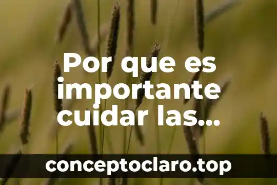Por que es inportan cuidar el agua 5 Por que es importante cuidar las plantas en general