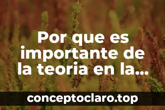 Por que es importante de la teoria en la criminologia