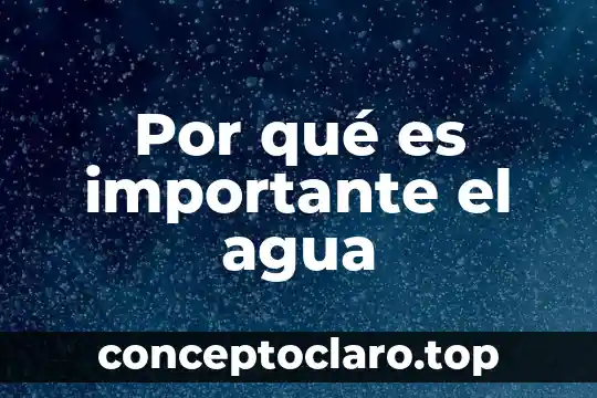Por que es importante analizar las desviaciones de un presupuesto 4 Por qué es importante el agua