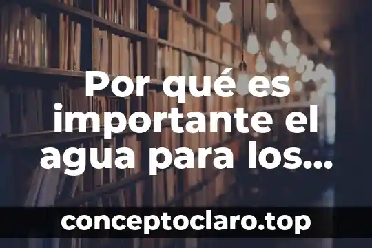 Por qué es importante el agua para los seres vivos