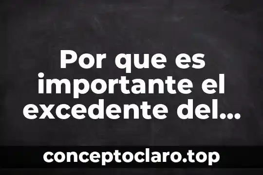 Por que es importante el excedente del productor